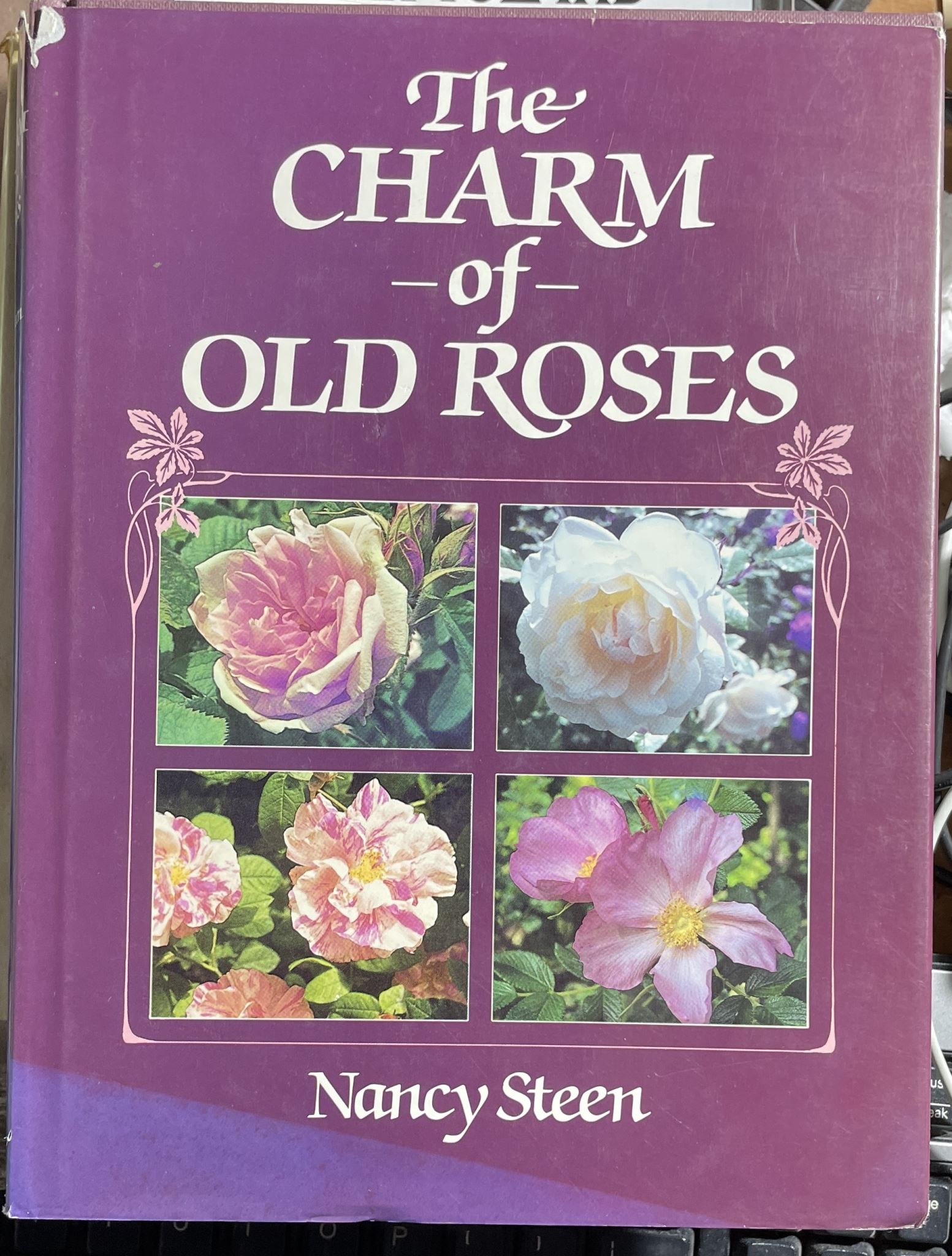 The Charm of Old Roses by Nancy Steen, NZ
